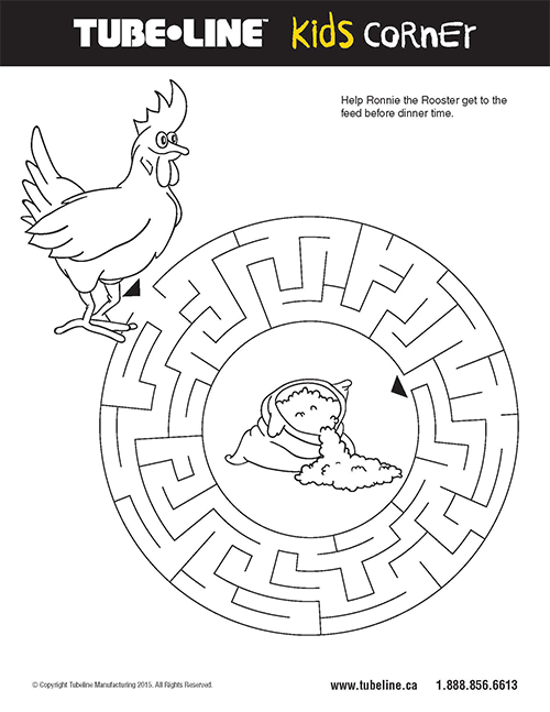 Chicken Maze